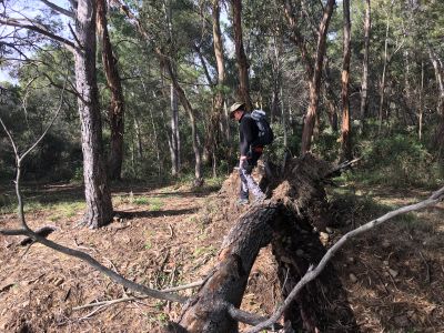 Navigating inland to avoid a stream