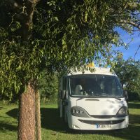 Bertie in the orchard at Tanpit's Farm