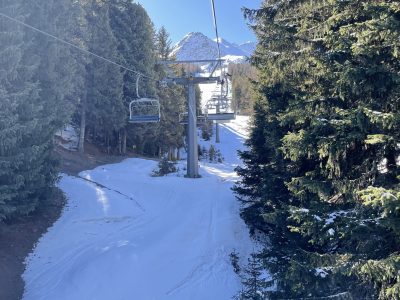 Between the trees at Pila