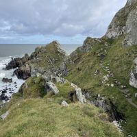 Logie Head and the steps that allow walkers to navigate this section of  coast path