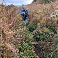 There was a lot of bracken to fight through after Logie Head